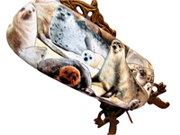 Unisex handmade hard eyeglass case, "A POD OF SEALS"/ vision accessory/health & beauty/ocular case