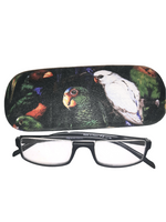 Unisex handmade hard eyeglass case, "PARAKEET ARRAY"/ vision accessory/ bag or purse item/