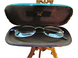 Unisex handmade eyeglass case  PHILADELPHIA EAGLES/bags&purses/eye care/NFL motif
