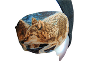 Unisex handmade cotton eye patch, "EL LOBO/ wolf theme/ eye care/ cataract aid/one size fits all