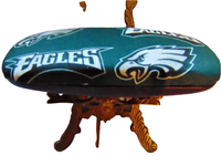 Unisex handmade eyeglass case  PHILADELPHIA EAGLES/bags&purses/eye care/NFL motif