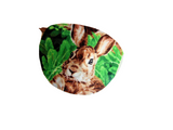Unisex handmade cotton eye patch/ "GARDEN RABBIT"/ eye care/ cataract aid/ blind eye aid