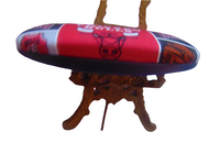 Unisex  handmade hard eyeglass case with a CHICAGO BULLS motif/health & beauty/vision care