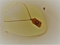 Unisex pendant necklace "VERDUN"/ handcrafted: solid copper, Dominican amber/ONLY 1